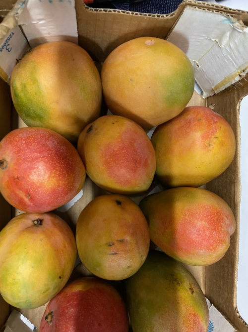 Yummy colorful mangoes!