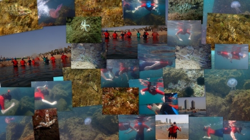 it's a collage about the bioflora in Barceloneta's beache in Barcelona