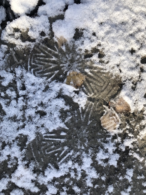 Footprint in snow of garden