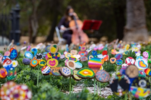 wooden flowers planted by the grieving angel statue @ Stanford in memorial to those lost to Covid