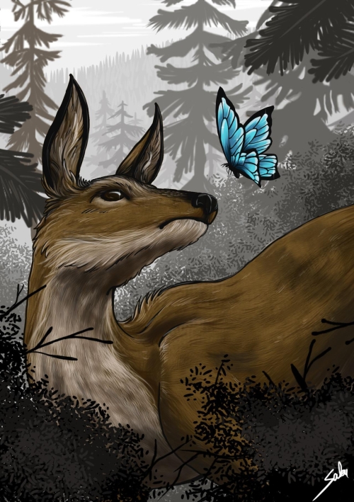 Peaceful deer looking at butterfly in crisp forest air