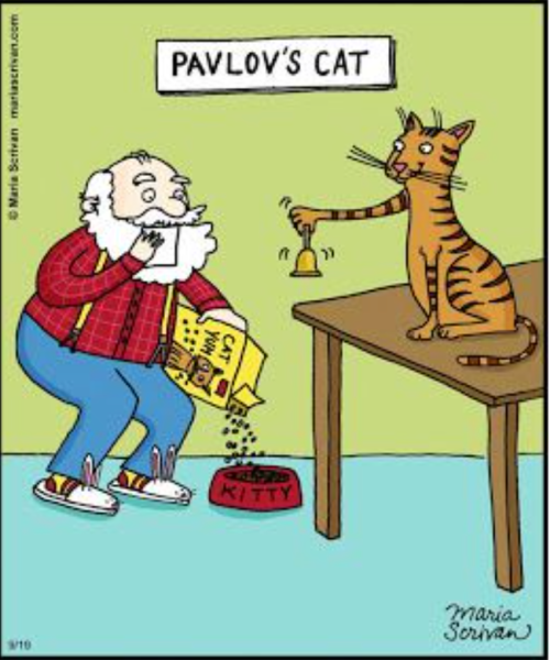 Pavlov's cat