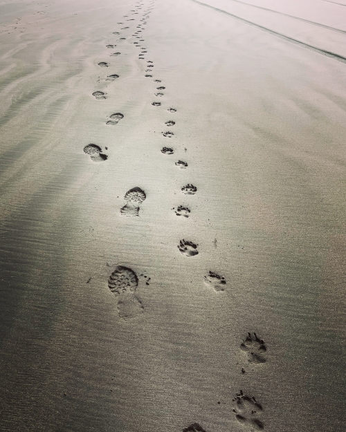 Man and dog footprints