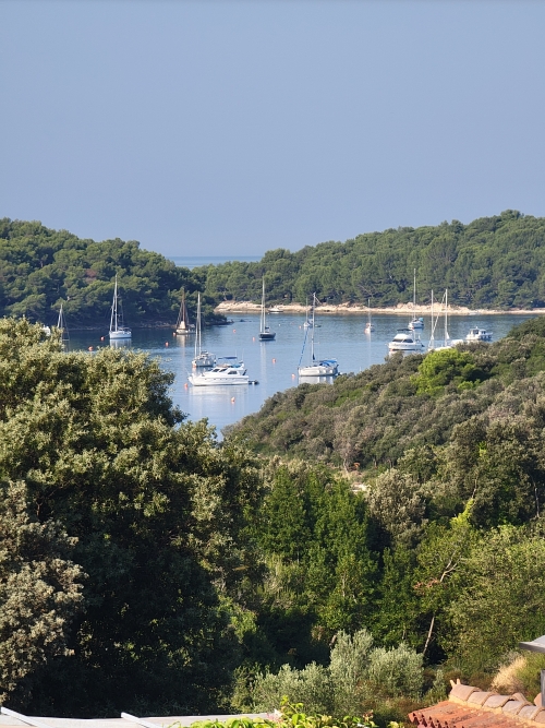 A bay with boats